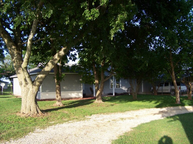 100 4985 1 2 768x576