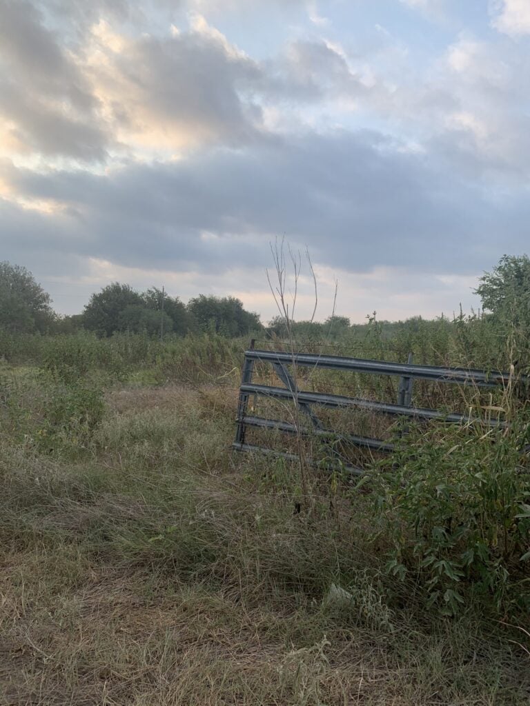 2128 hcr 2124 LP Whitney PHOTO 3 scaled 2 768x1024