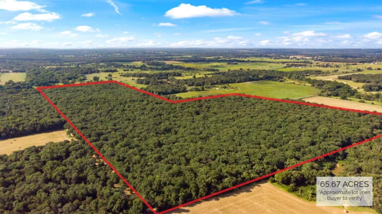 01 HCR 1307 13 drone lot lines mls 1 768x431