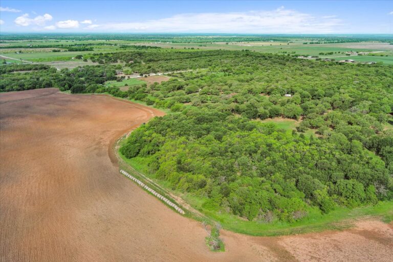 07 HCR 1212 7 1 768x512