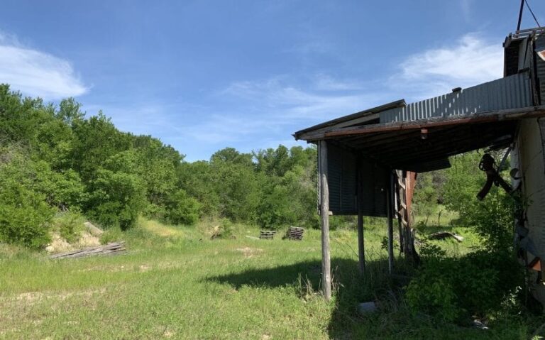 003550E4 E5AD 4E15 8077 6E4E3DAF10B9 850x530 1 768x479