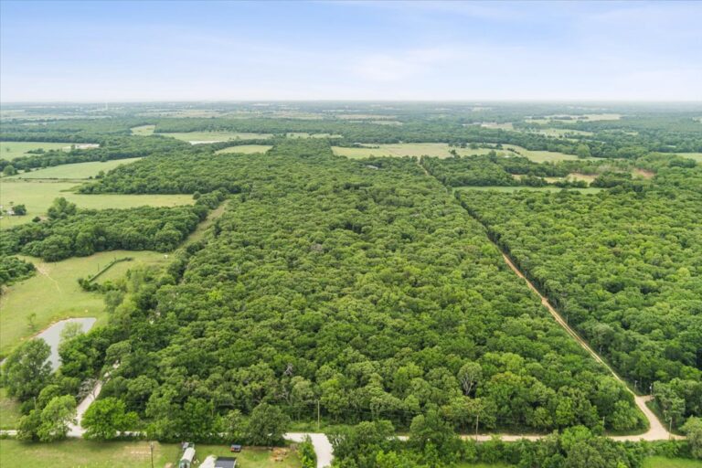 02 TBD HCR 1307 Drone 7 768x512