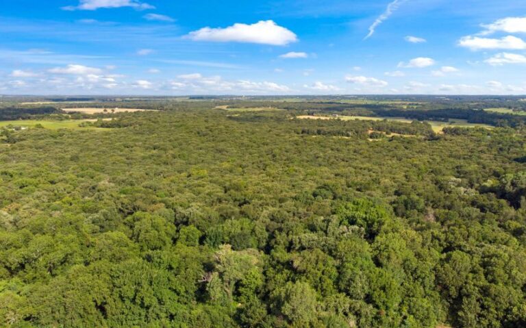 02 HCR 1307 1 mls 850x530 1 768x479