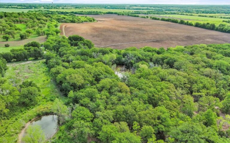 03 HCR 1212 3 850x530 1 768x479