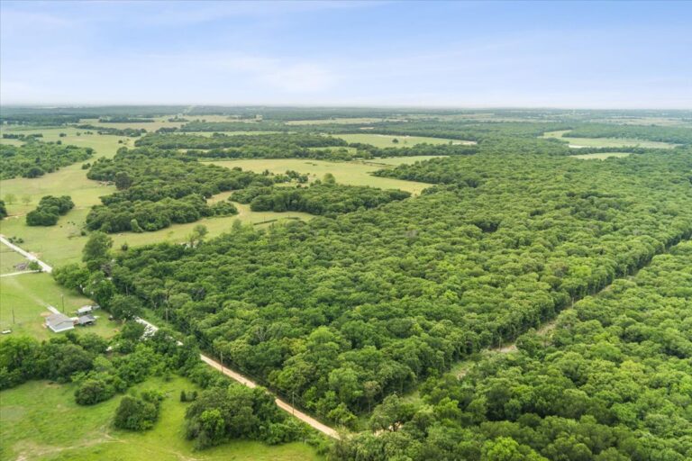 03 TBD HCR 1307 Drone 5 768x512