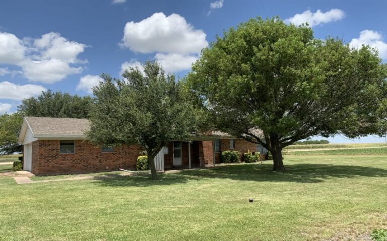 03FA875C 538B 45D7 B238 99D6884F2F61 850x530 1 768x479