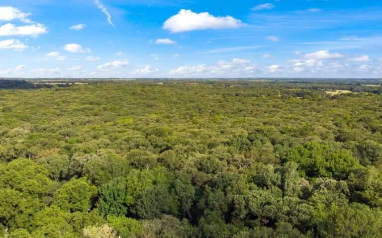 03 HCR 1307 2 mls 850x530 1 768x479