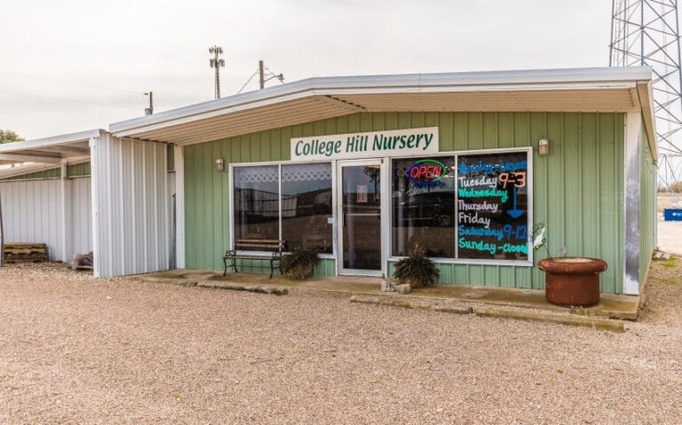 04 BN4A5192 850x530 1 768x479