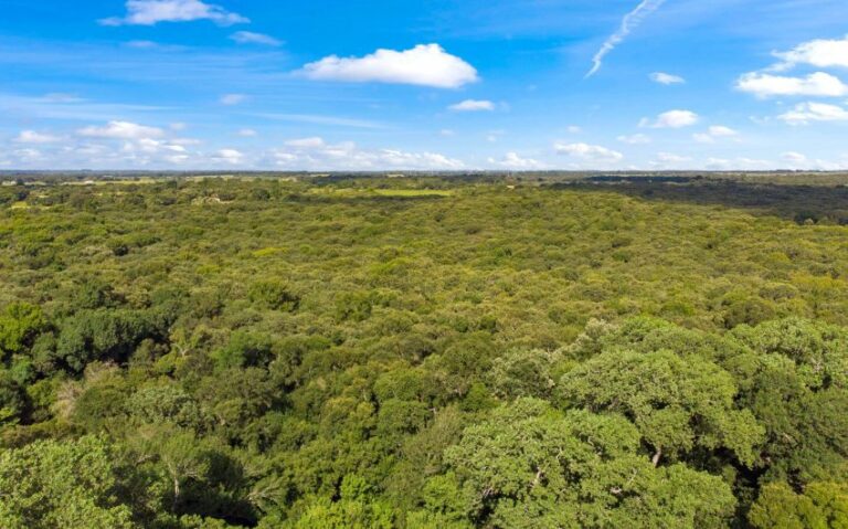 04 HCR 1307 3 mls 850x530 1 768x479