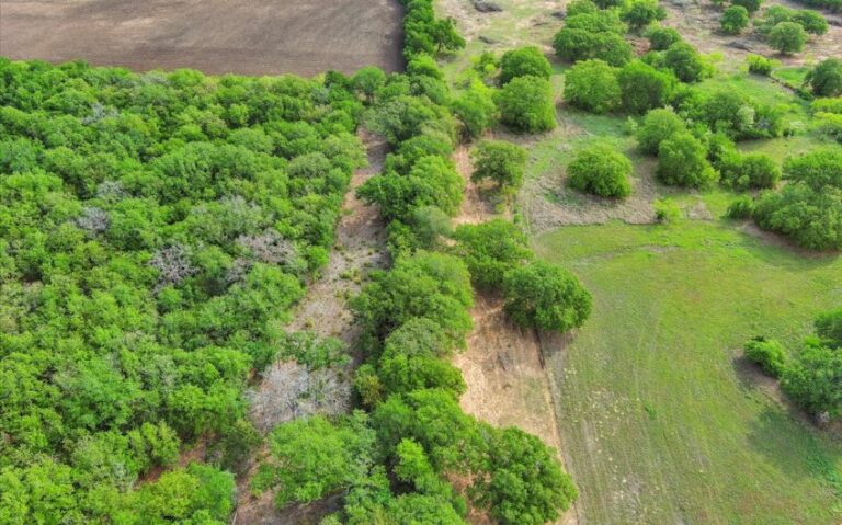 05 HCR 1212 5 850x530 1 1 768x479