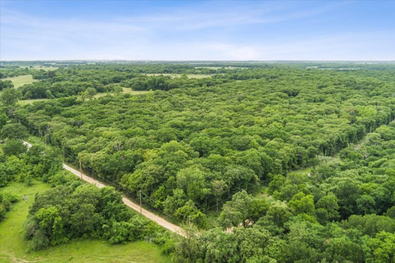 05 TBD HCR 1307 Drone 6 768x512