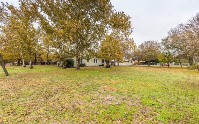 06 BN4A6082 850x530 1 768x479