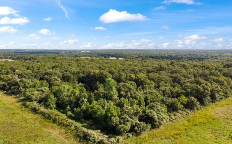 06 HCR 1307 5 mls 850x530 1 768x479