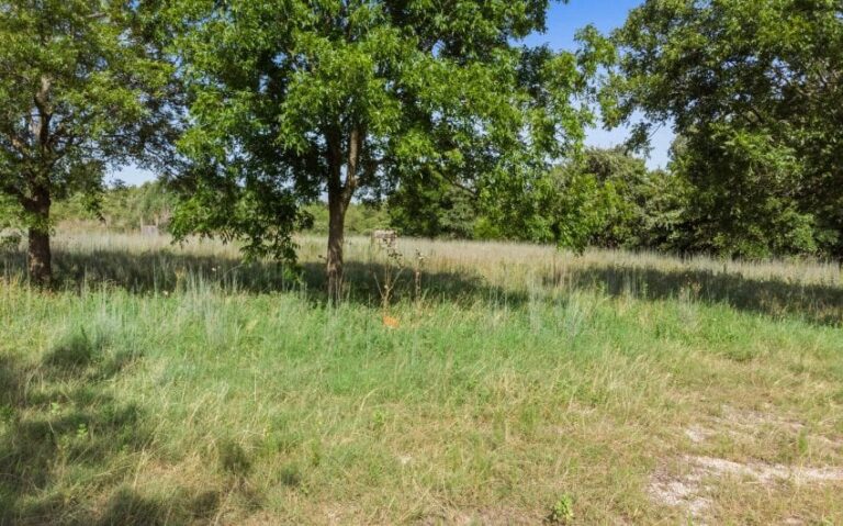 07 524 HCR 2125 1 mls 850x530 1 768x479