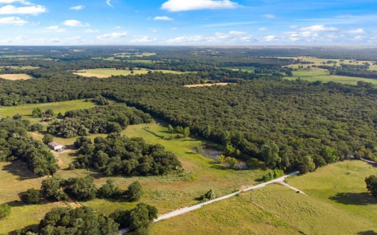 07 HCR 1307 6 mls 850x530 1 768x479