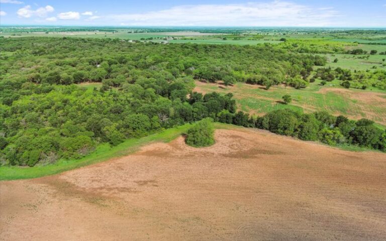 08 HCR 1212 8 850x530 1 768x479