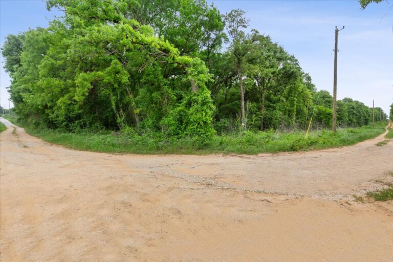 08 TBD HCR 1307 2 768x512