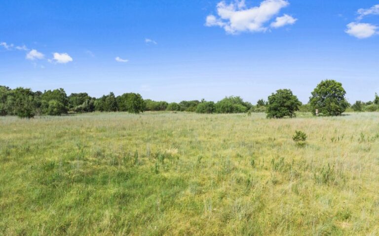 08 524 HCR 2125 7 mls 1 850x530 1 768x479