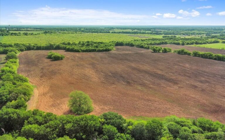 09 HCR 1212 9 850x530 1 768x479