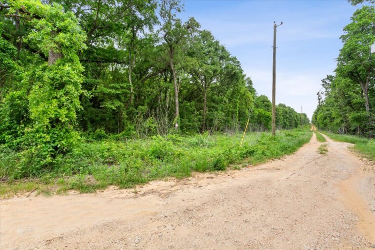 09 TBD HCR 1307 3 768x512