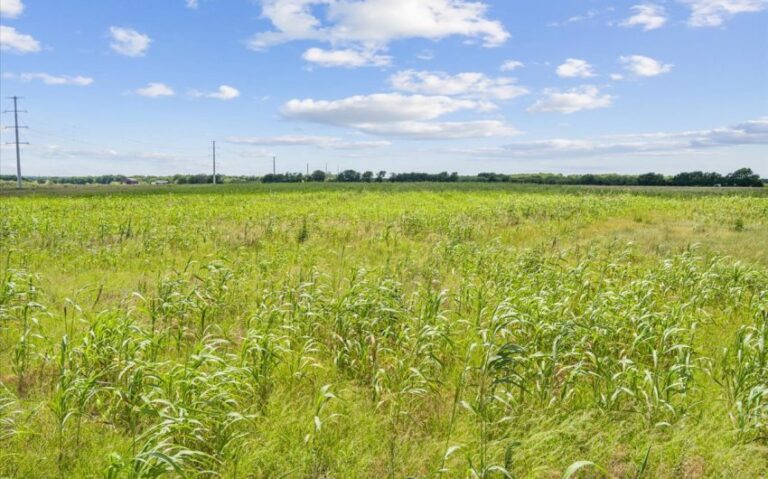 09 TBD HCR 2344 12 850x530 1 768x479