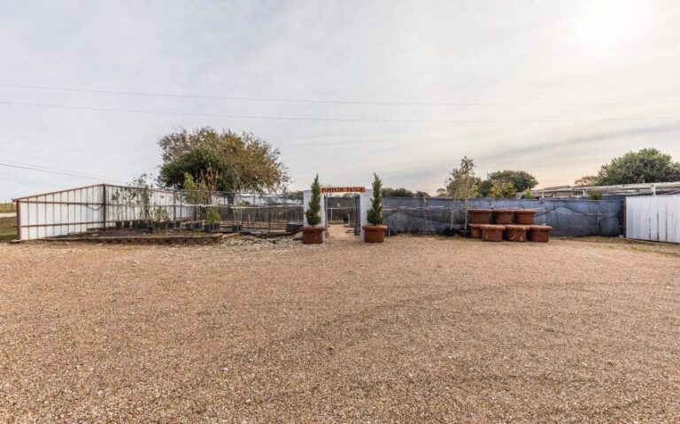 09 BN4A5198 850x530 1 768x479