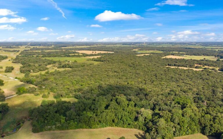 09 HCR 1307 8 mls 850x530 1 768x479