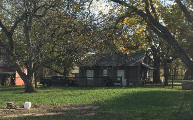 0FDE8C0D 989E 4EC9 8307 19B29284C469 850x530 1 768x479