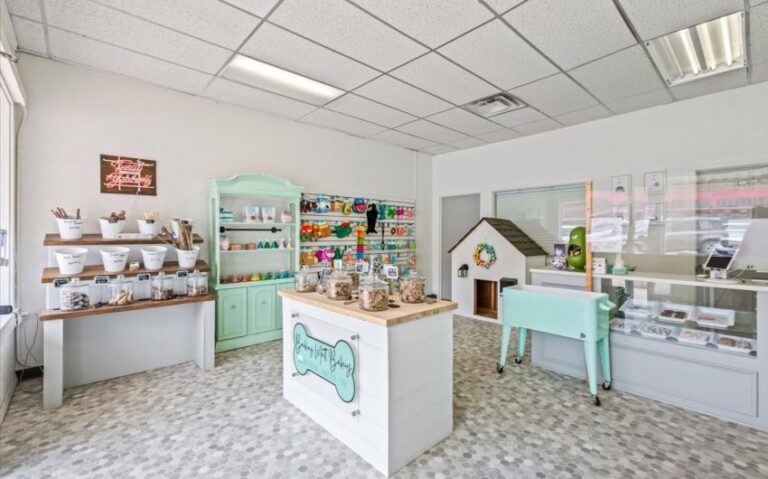 10 115 E Franklin 5 850x530 1 768x479