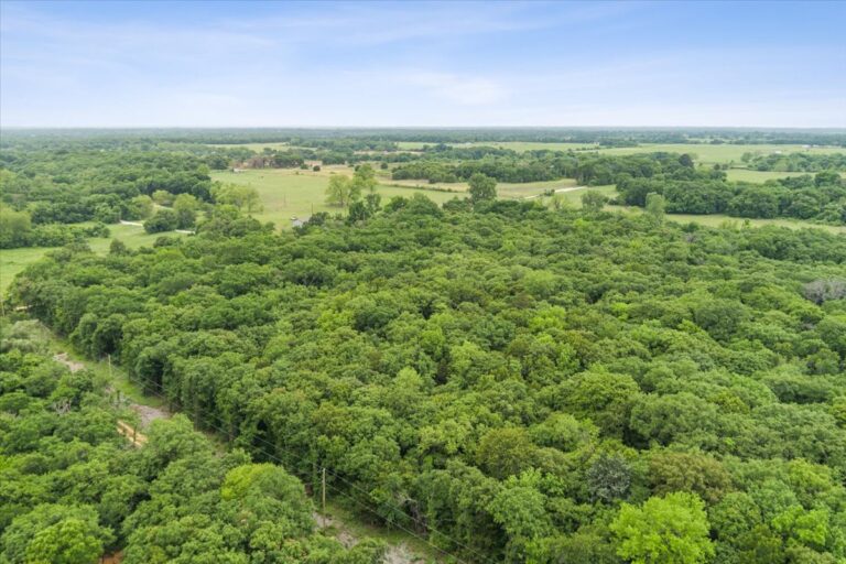 10 TBD HCR 1307 Drone 3 768x512