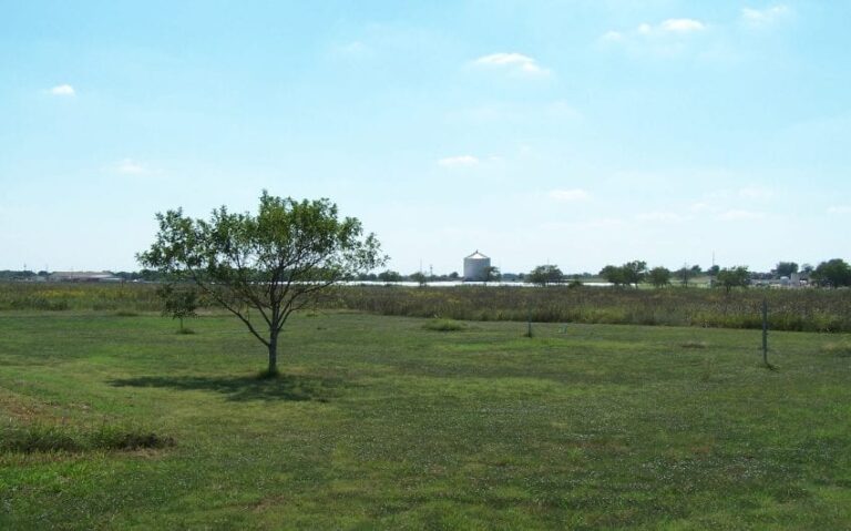 100 5066 850x530 1 768x479