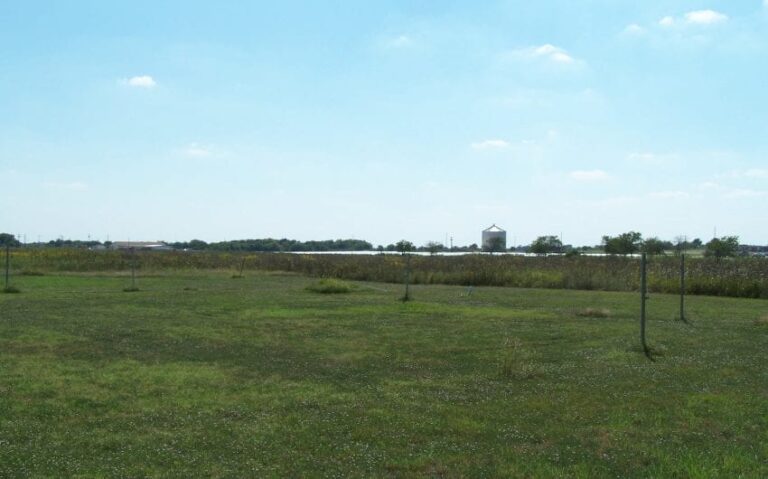 100 5068 850x530 1 768x479