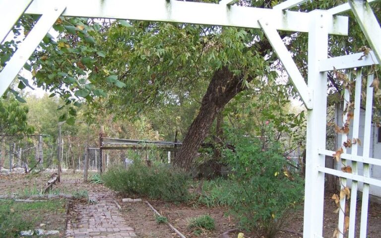 100 5138 850x530 1 768x479