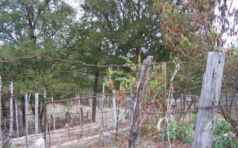 100 5140 850x530 1 768x479