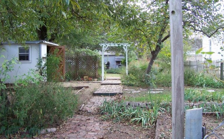 100 5141 850x530 1 768x479