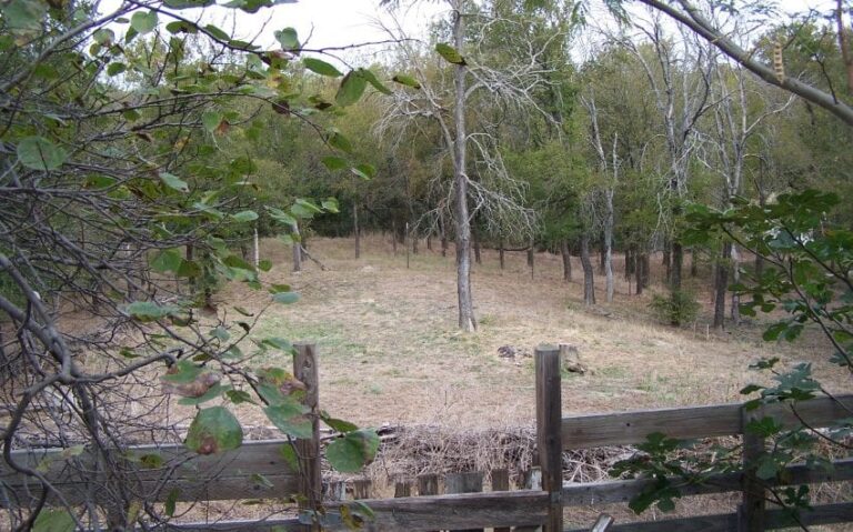 100 5143 850x530 1 768x479