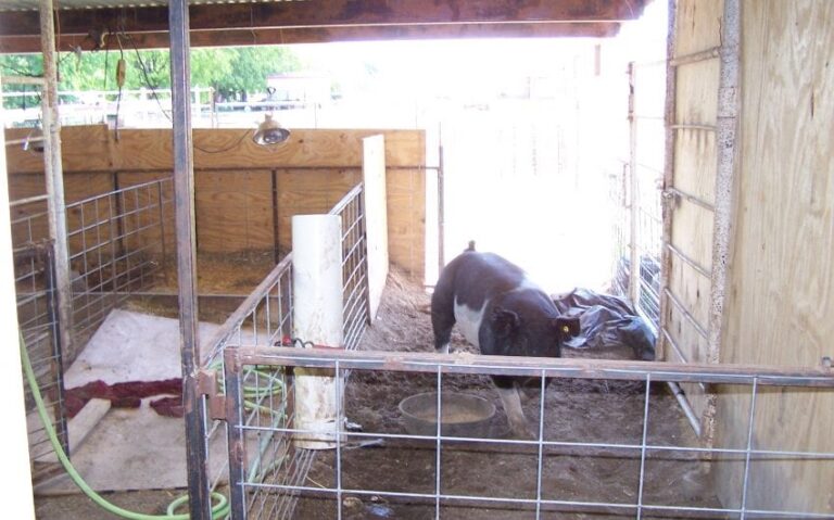 100 5223 850x530 1 768x479