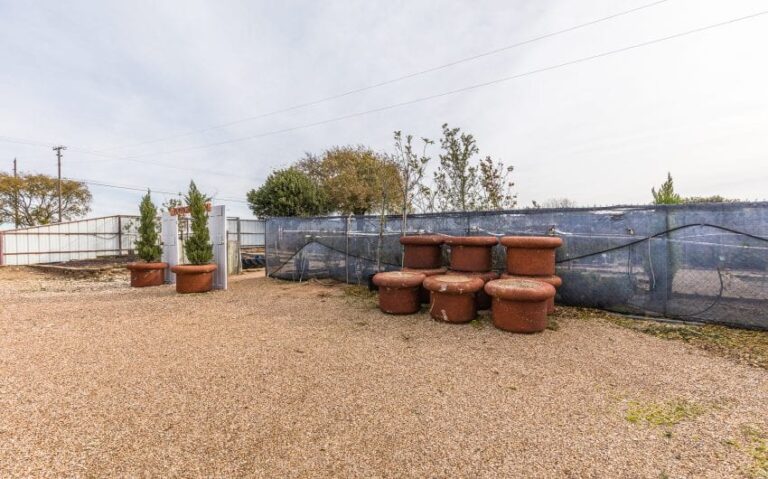 10 BN4A5207 850x530 1 768x479