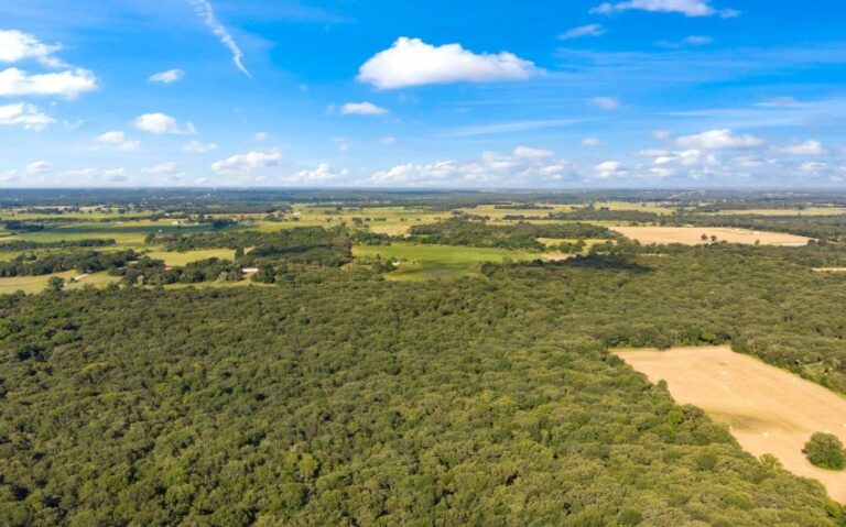 10 HCR 1307 9 mls 850x530 1 768x479