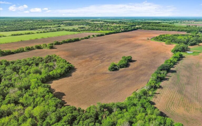 11 HCR 1212 11 850x530 1 768x479