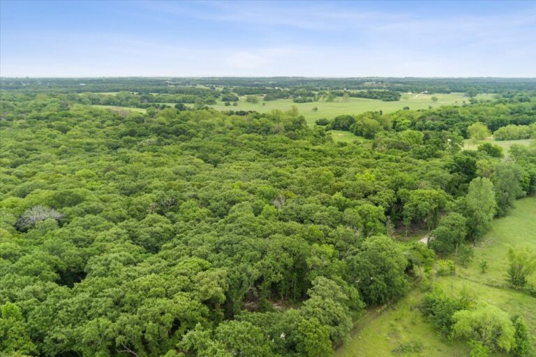 11 TBD HCR 1307 Drone 2 768x512