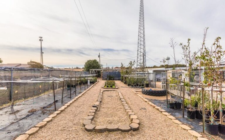 11 BN4A5224 850x530 1 768x479