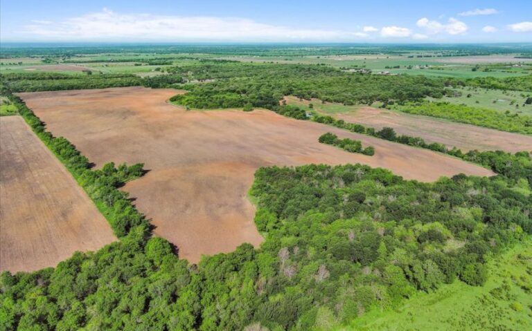 12 HCR 1212 12 850x530 1 768x479