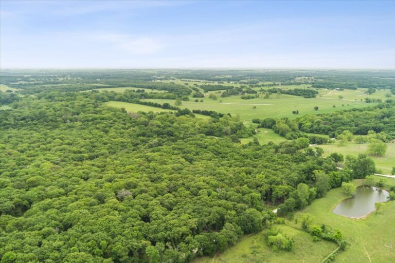 12 TBD HCR 1307 Drone 1 768x512