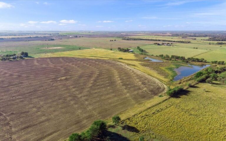 12 TBD HCR 1359 12 850x530 1 768x479