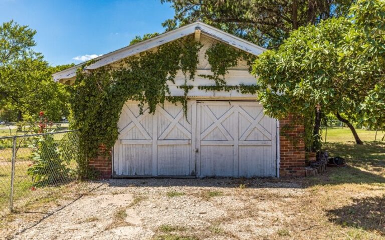 12 BN4A5788 850x530 1 768x479