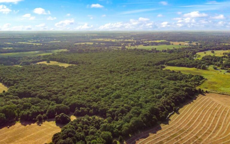 12 HCR 1307 11 mls 850x530 1 768x479