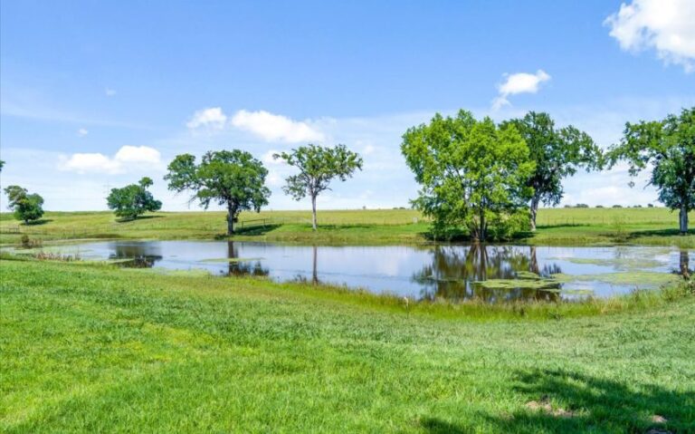 13 1624 HCR 2302 S 8 850x530 1 768x479