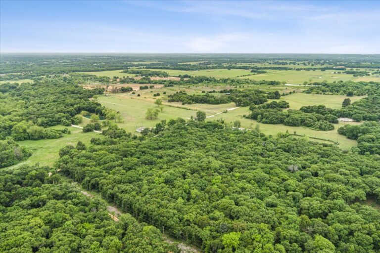 13 TBD HCR 1307 Drone 4 768x512