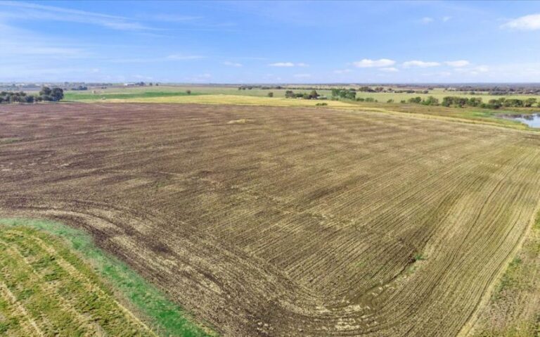 13 TBD HCR 1359 13 850x530 1 768x479